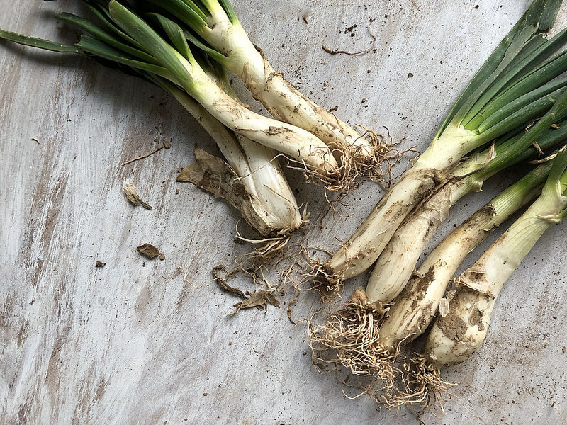 Dove Mangiare I Migliori Calçots Di Barcellona